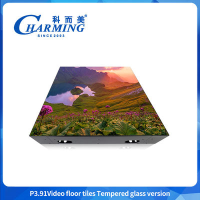 En el interior y en el exterior 500*500mm Panel de gabinete Modulo de tablas de pantalla Otros equipos de publicidad 3840HZ Pantalla de baile LED